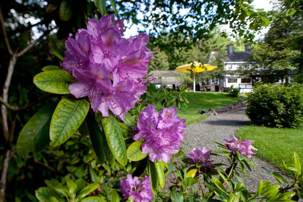 Romantik Hotel Stryckhaus Willingen  Exterior foto